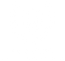MG Transport